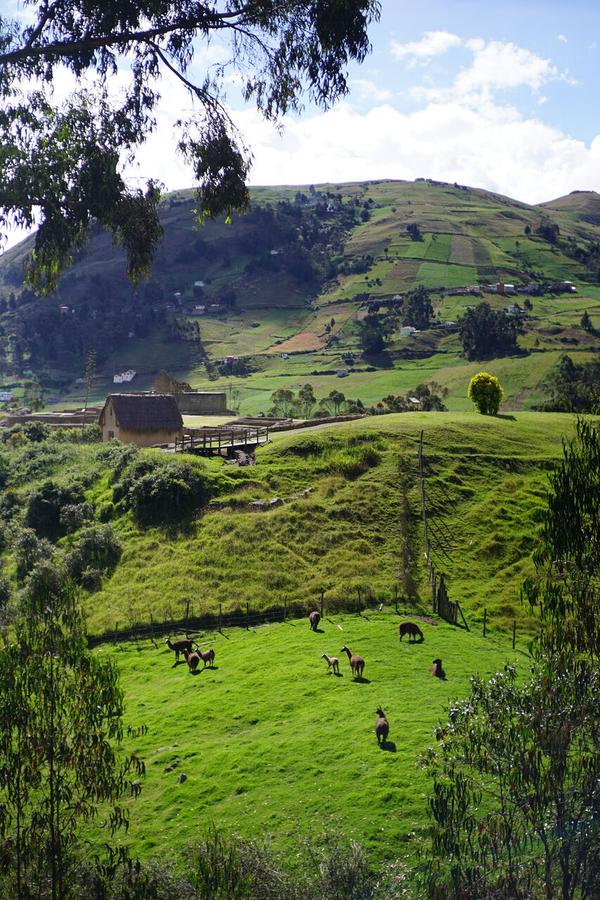 articles/ingapirca-riobamba-route-vers-amazonie/DSC07478.JPG