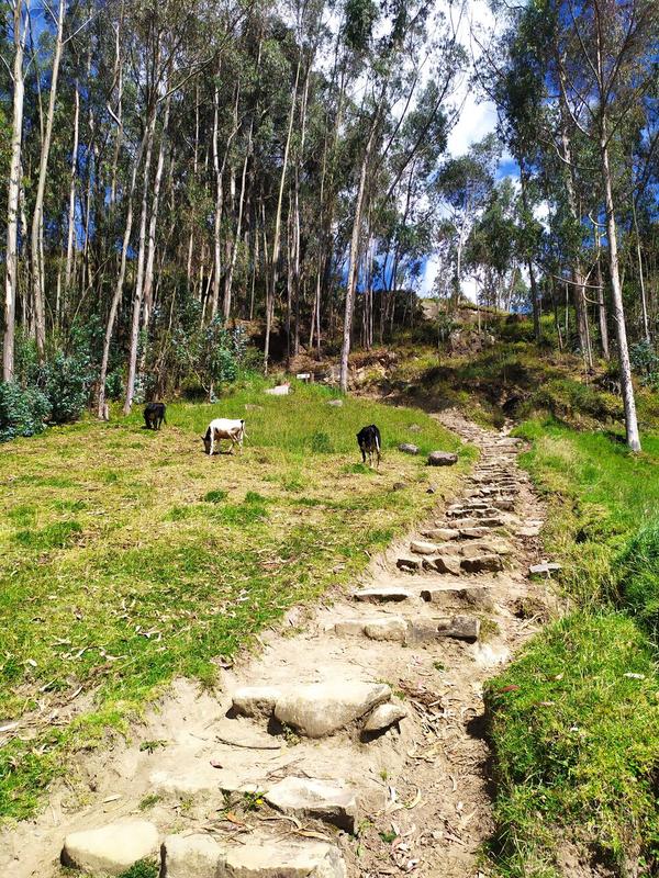 articles/ingapirca-riobamba-route-vers-amazonie/IMG_20210602_140658.jpg