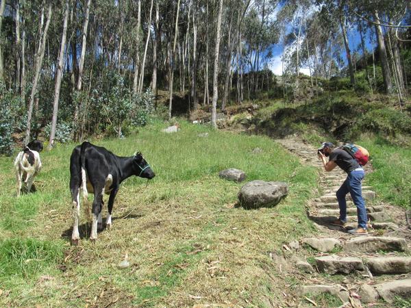 articles/ingapirca-riobamba-route-vers-amazonie/IMG_2577.JPG