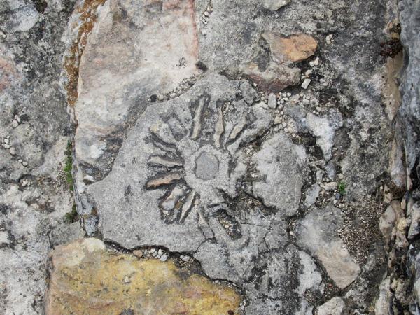 articles/izamal-merida-uxmal/Izamal/IMG_1620.jpg