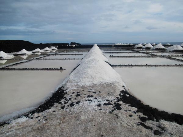 articles/lapalma-premiere-semaine-dans-canaries/Salines/IMG_6632.jpg