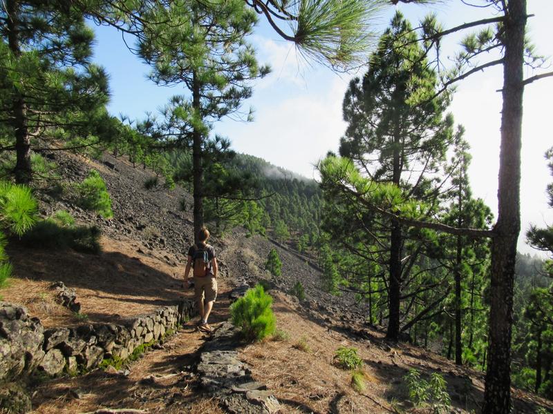 articles/lapalma-seconde-semaine-sous-soleil-canaries/ElPilar/IMG_6908.jpg