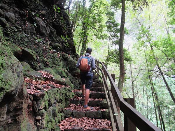 articles/lapalma-seconde-semaine-sous-soleil-canaries/ForetLosTilos/IMG_6983.jpg