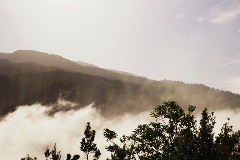 articles/lapalma-seconde-semaine-sous-soleil-canaries/LaLaguna/DSC01695.jpg