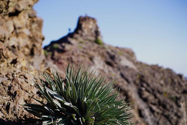 articles/lapalma-seconde-semaine-sous-soleil-canaries/RoqueDeLosMuchachos/DSC01453.jpg