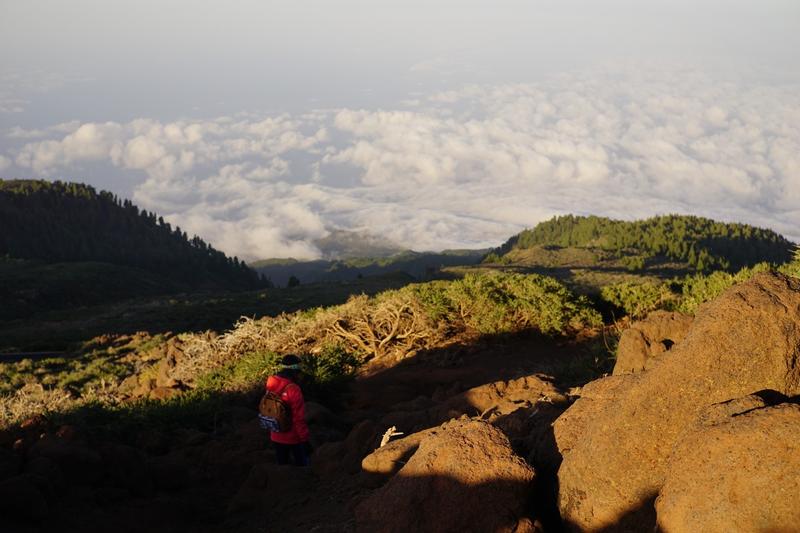 articles/lapalma-seconde-semaine-sous-soleil-canaries/RoqueDeLosMuchachos/DSC01507.jpg