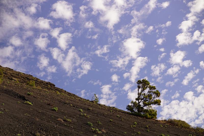 articles/lapalma-seconde-semaine-sous-soleil-canaries/VolcanTeneguia/DSC01776.jpg