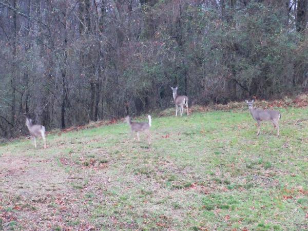 articles/lecons-histoire-mississippi/NatchezParkway/IMG_9023.jpg