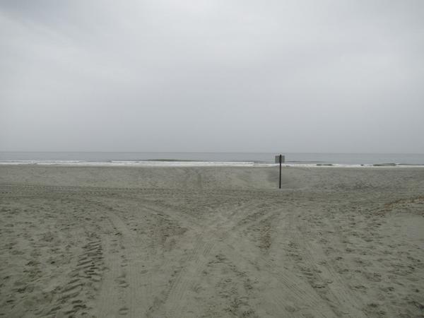 articles/petit-passage-georgie-caroline-sud/IMG_8406.JPG