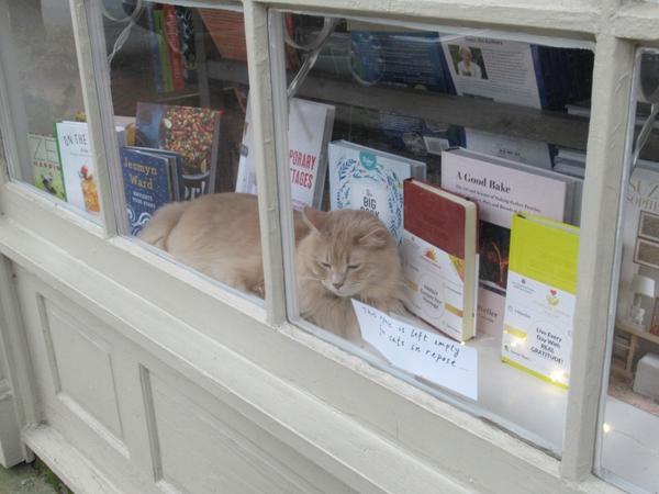 articles/petit-passage-georgie-caroline-sud/Savannah/IMG_8362.JPG