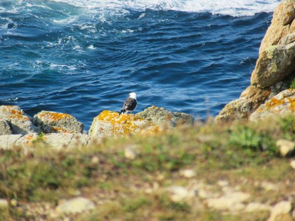 articles/petit-tour-bretagne/Audierne/IMG_5763.jpg