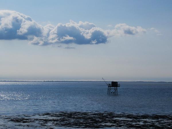 articles/plus-au-sud-cote-ouest-france/FortBoyard/IMG_5916.jpg
