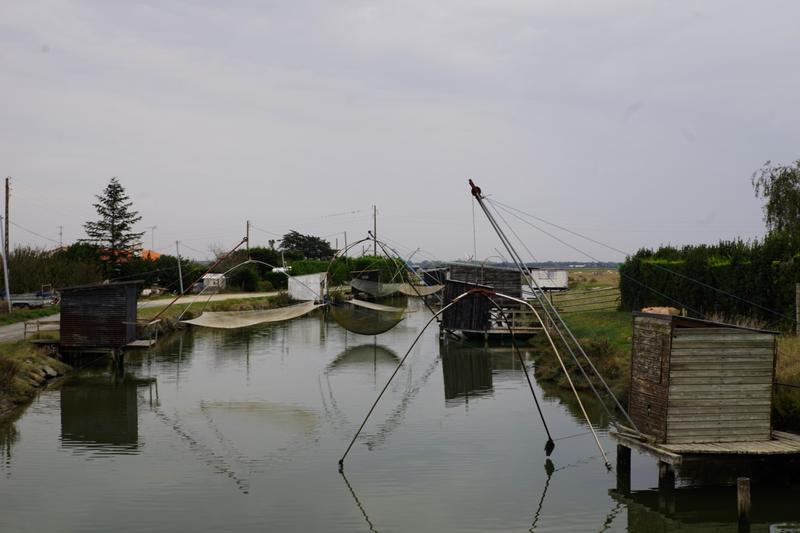 articles/plus-au-sud-cote-ouest-france/Guerande/DSC09850.jpg