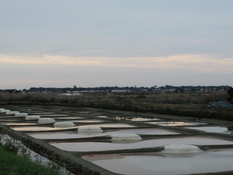 articles/plus-au-sud-cote-ouest-france/Guerande/IMG_5812.jpg