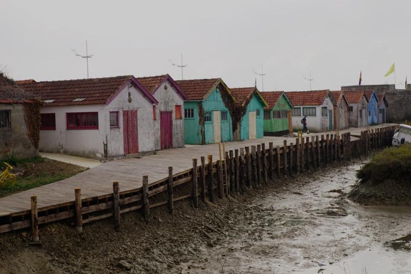 articles/plus-au-sud-cote-ouest-france/Oleron/DSC09964.jpg