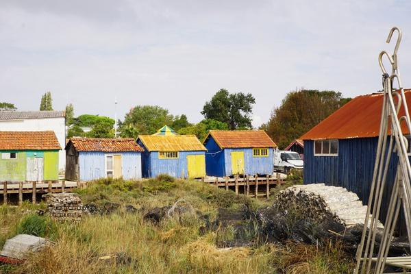 articles/plus-au-sud-cote-ouest-france/Oleron/DSC09972.jpg