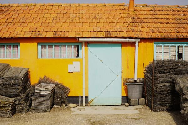 articles/plus-au-sud-cote-ouest-france/Oleron/DSC09973.jpg
