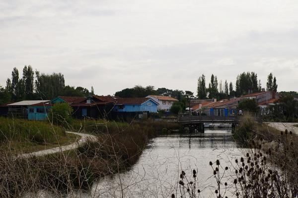 articles/plus-au-sud-cote-ouest-france/Oleron/DSC09980.jpg