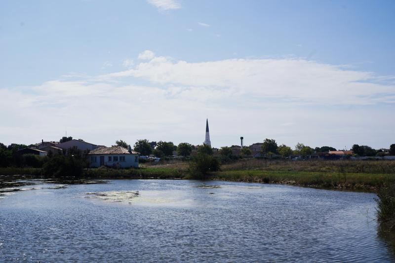 articles/plus-au-sud-cote-ouest-france/Re/DSC09886.jpg