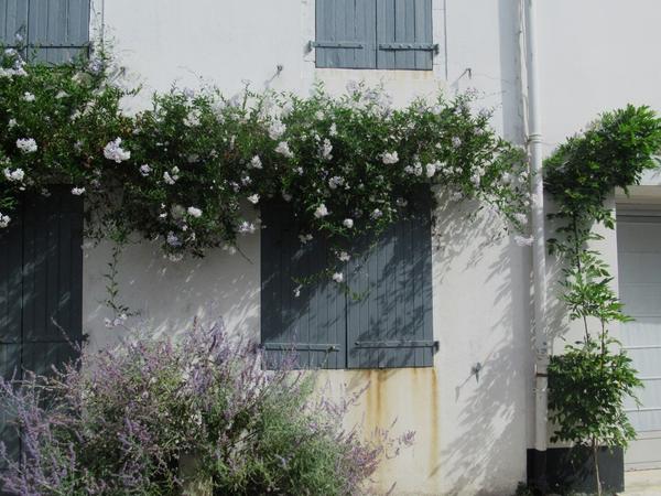 articles/plus-au-sud-cote-ouest-france/Re/IMG_5839.jpg