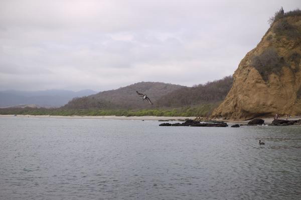 articles/puerto-lopez-montanita-equateur-baleines/DSC07848.jpg
