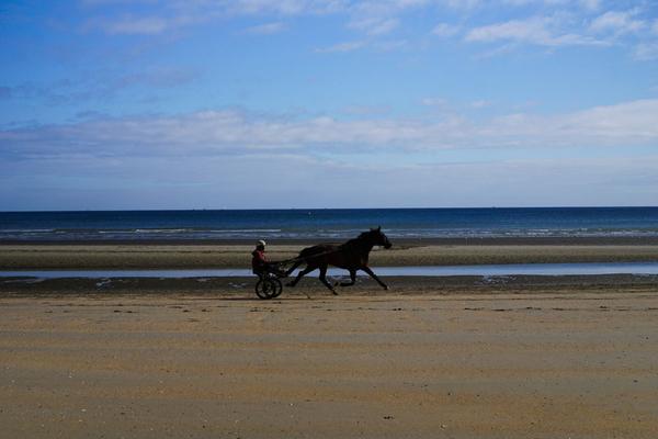 articles/quelques-jours-normandie/DSC09267.jpg