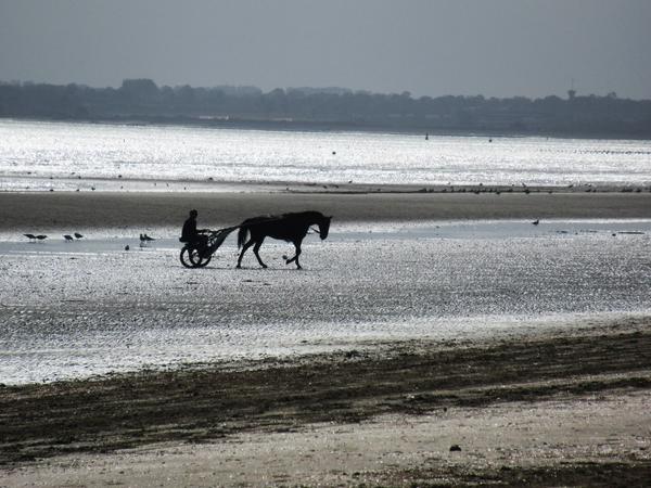 articles/quelques-jours-normandie/IMG_5426.jpg