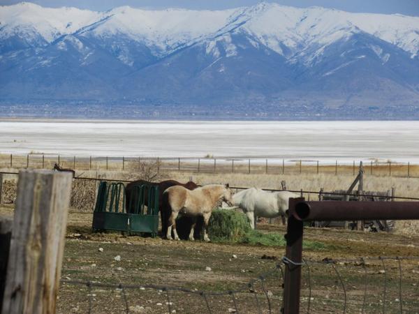 articles/saltlakecity-idaho-seattle-kurtcobain-nirvana/AntelopeIslandSP/IMG_0827.jpg