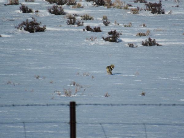 articles/saltlakecity-idaho-seattle-kurtcobain-nirvana/Idaho/IMG_0874.jpg