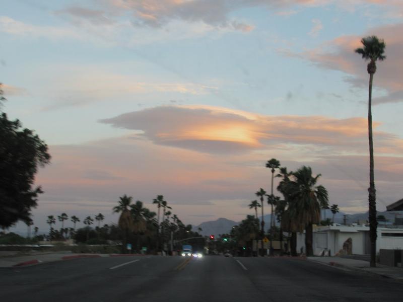 articles/san-diego-palmsprings-soleil-cactus/IMG_1350.jpg