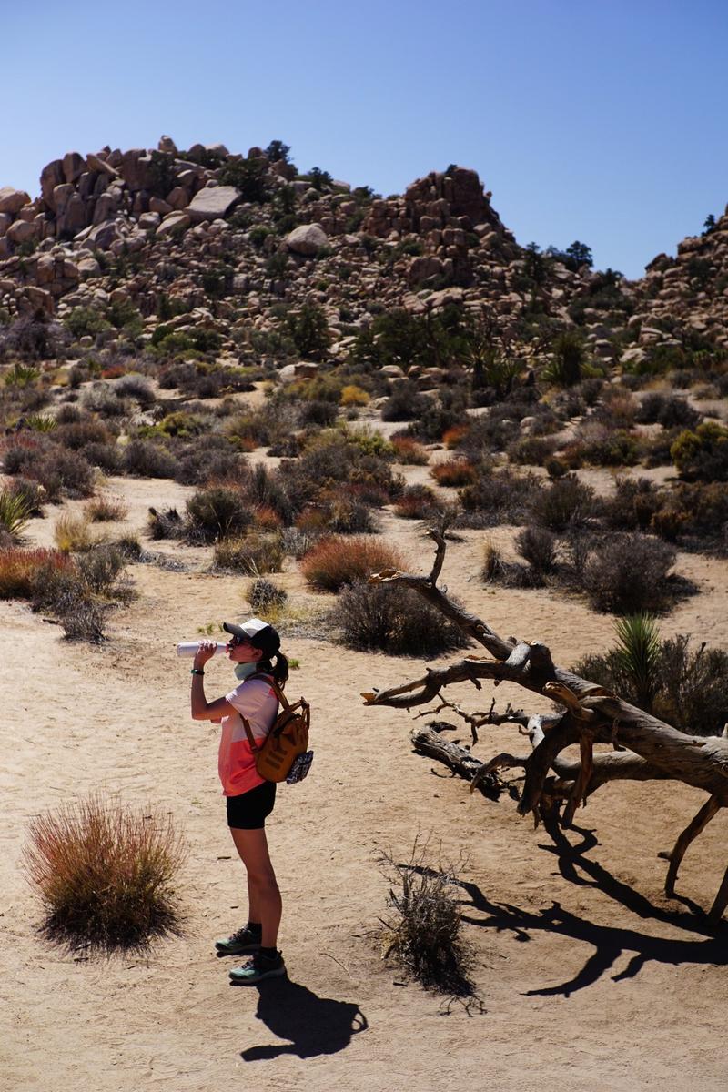 articles/san-diego-palmsprings-soleil-cactus/JoshuaTreeNP/DSC05956.jpg