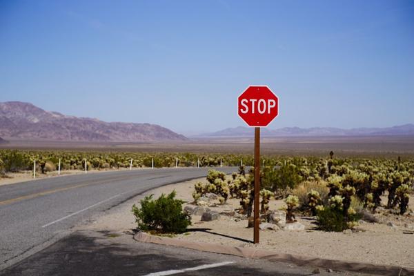 articles/san-diego-palmsprings-soleil-cactus/JoshuaTreeNP/DSC05965.jpg