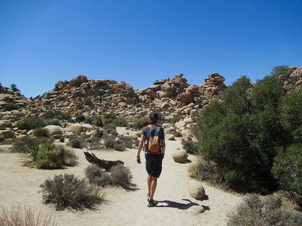 articles/san-diego-palmsprings-soleil-cactus/JoshuaTreeNP/IMG_1354.jpg