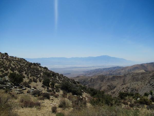 articles/san-diego-palmsprings-soleil-cactus/JoshuaTreeNP/IMG_1359.jpg