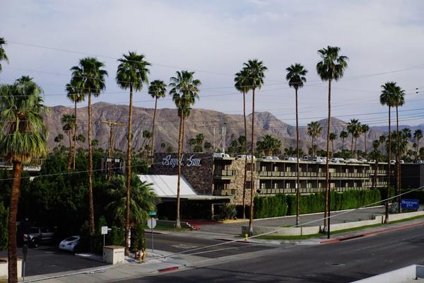 articles/san-diego-palmsprings-soleil-cactus/PalmSprings/DSC05941.jpg