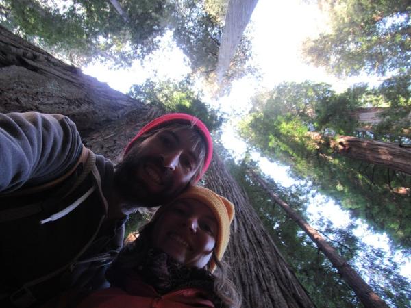 articles/san-francisco-california-here-we-come/RedwoodNP/IMG_1109.jpg