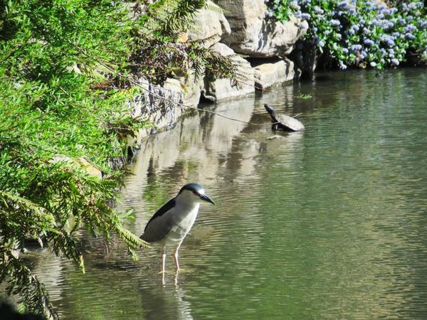articles/san-francisco-california-here-we-come/SanFrancisco/IMG_1166.jpg