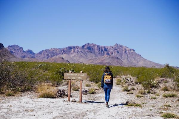 articles/sud-texas/BigBend/DSC04469.jpg