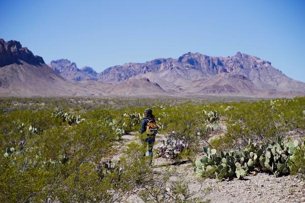 articles/sud-texas/BigBend/DSC04471.jpg