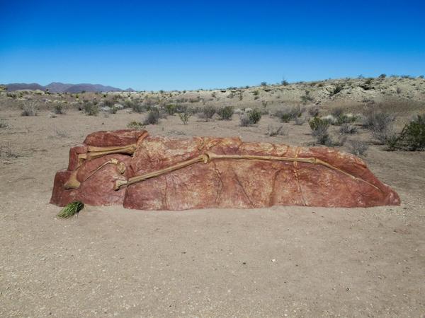 articles/sud-texas/BigBend/IMG_9395.jpg