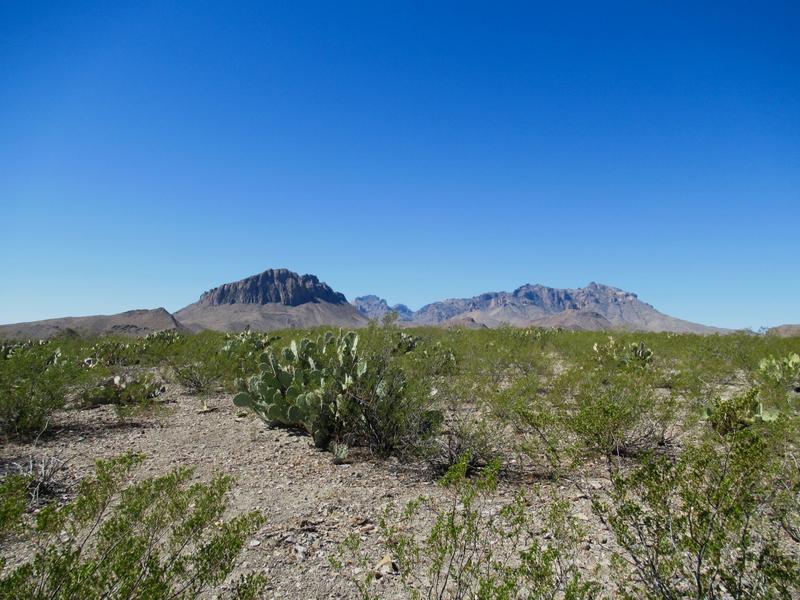 articles/sud-texas/BigBend/IMG_9423.jpg