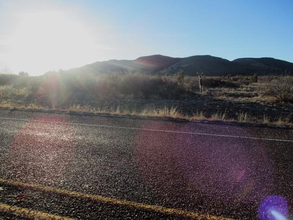 articles/sud-texas/BigBend/IMG_9493.jpg