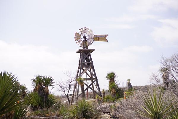 articles/sud-texas/DSC04434.JPG