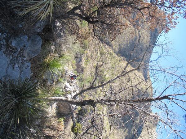 articles/sud-texas/GuadalupeNP/IMG_9586.JPG
