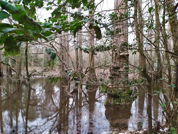 articles/sud-texas/IMG_20210218_152843.jpg