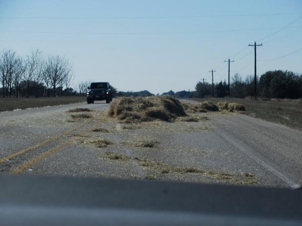 articles/sud-texas/IMG_9244.jpg