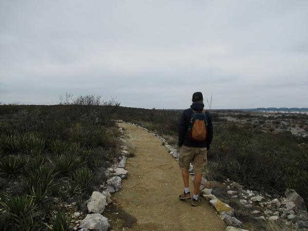 articles/sud-texas/IMG_9347.jpg