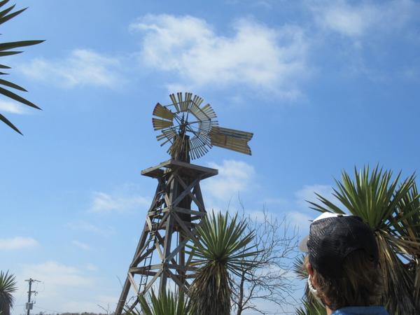 articles/sud-texas/IMG_9357.JPG
