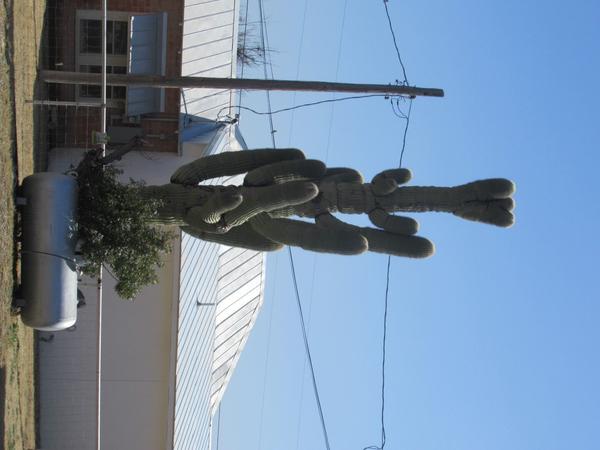 articles/sud-texas/IMG_9359.JPG