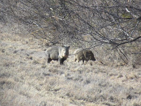articles/sud-texas/IMG_9380.JPG